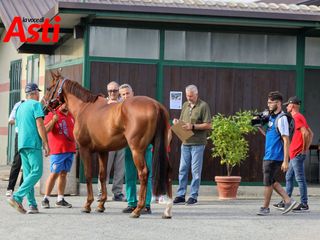 Merphefoto Merphefoto