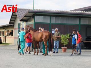 Merphefoto Merphefoto