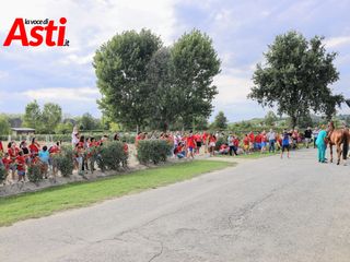 Merphefoto Merphefoto