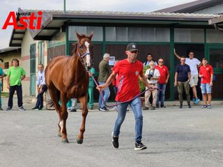 Merphefoto Merphefoto