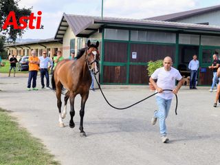 Merphefoto Merphefoto