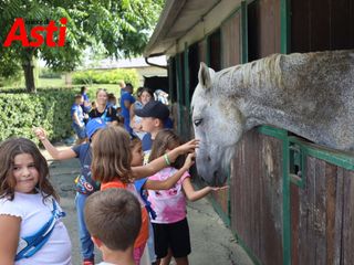 Merphefoto Merphefoto