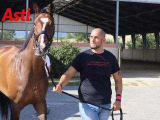 Merphefoto Merphefoto