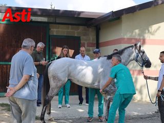 Merphefoto Merphefoto