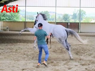 Merphefoto Merphefoto