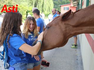 Merphefoto Merphefoto