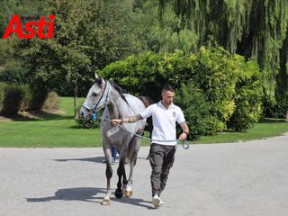 Merphefoto Merphefoto