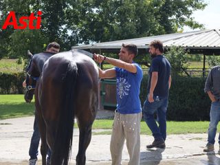 Merphefoto Merphefoto