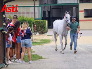 Merphefoto Merphefoto