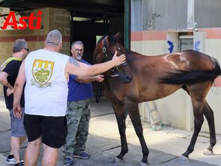 Merphefoto Merphefoto