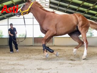 Merphefoto Merphefoto