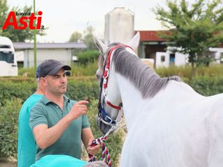 Merphefoto Merphefoto