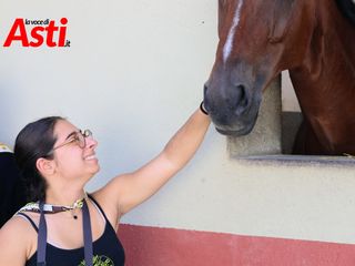 Merphefoto Merphefoto