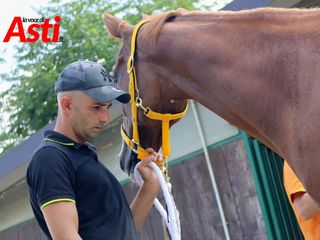 Merphefoto Merphefoto