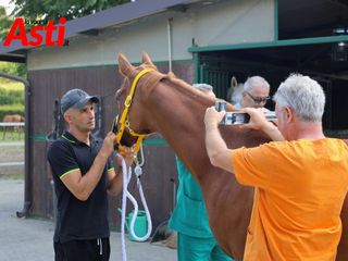 Merphefoto Merphefoto