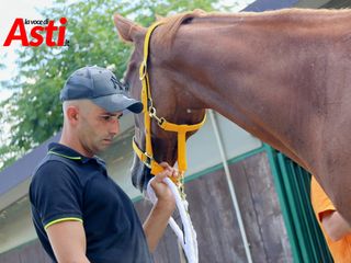 Merphefoto Merphefoto