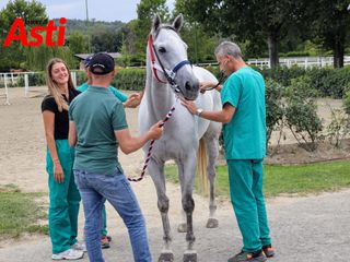 Merphefoto Merphefoto