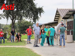 Merphefoto Merphefoto