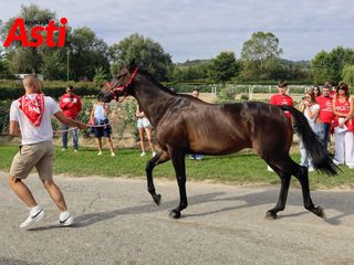 Le foto della mattinata (Merphefoto) Le foto della mattinata (Merphefoto)