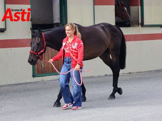 Le foto della mattinata (Merphefoto) Le foto della mattinata (Merphefoto)
