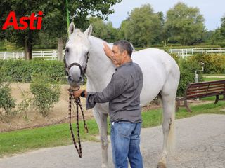 Le foto della mattinata (Merphefoto) Le foto della mattinata (Merphefoto)