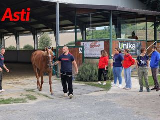 Le foto della mattinata (Merphefoto) Le foto della mattinata (Merphefoto)