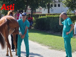 Le foto della mattinata (Merphefoto) Le foto della mattinata (Merphefoto)