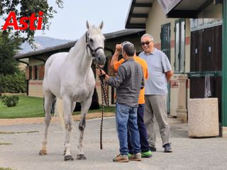 Le foto della mattinata (Merphefoto) Le foto della mattinata (Merphefoto)