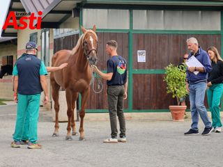 Le foto della mattinata (Merphefoto) Le foto della mattinata (Merphefoto)