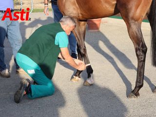 Le foto della mattinata (Merphefoto) Le foto della mattinata (Merphefoto)