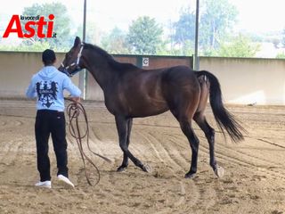 Le foto della mattinata (Merphefoto) Le foto della mattinata (Merphefoto)