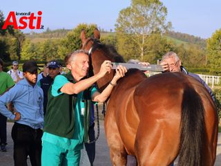 Le foto della mattinata (Merphefoto) Le foto della mattinata (Merphefoto)