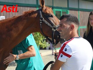 Le foto della mattinata (Merphefoto) Le foto della mattinata (Merphefoto)