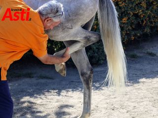 Le foto della mattinata (Merphefoto) Le foto della mattinata (Merphefoto)