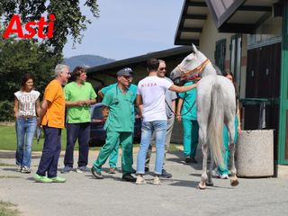 Le foto della mattinata (Merphefoto) Le foto della mattinata (Merphefoto)