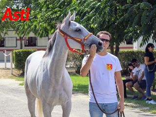 Le foto della mattinata (Merphefoto) Le foto della mattinata (Merphefoto)