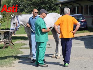 Le foto della mattinata (Merphefoto) Le foto della mattinata (Merphefoto)