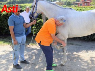 Le foto della mattinata (Merphefoto) Le foto della mattinata (Merphefoto)