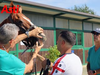 Le foto della mattinata (Merphefoto) Le foto della mattinata (Merphefoto)