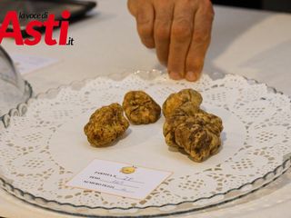 Galleria fotografica a cura di Merfephoto - Efrem Zanchettin