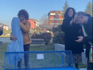 Galleria fotografica MerfePhoto Galleria fotografica MerfePhoto