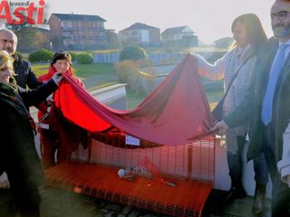 Galleria fotografica MerfePhoto Galleria fotografica MerfePhoto