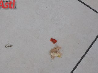 Galleria fotografica di MerfePhoto Galleria fotografica di MerfePhoto