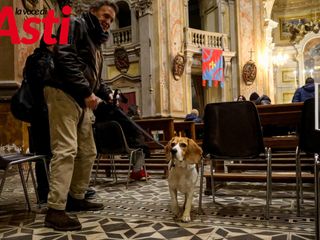 Ricca galleria fotografica a cura di Merfephoto - Efrem Zanchettin