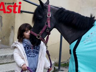 Ricca galleria fotografica a cura di Merfephoto - Efrem Zanchettin