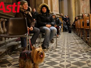 Ricca galleria fotografica a cura di Merfephoto - Efrem Zanchettin