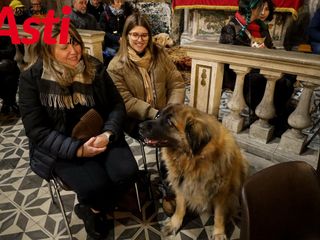 Ricca galleria fotografica a cura di Merfephoto - Efrem Zanchettin