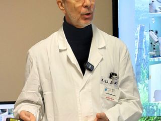 Le immagini della giornata (Merphefoto)