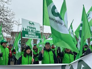 Le immagini della manifestazione oggi a Strasburgo