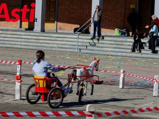 Galleria fotografica a cura di Merfephoto Galleria fotografica a cura di Merfephoto